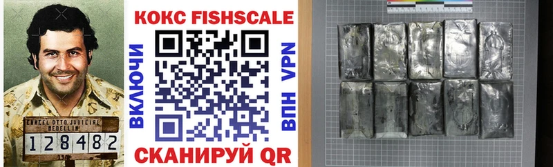 COCAIN Fish Scale Купить Вольск