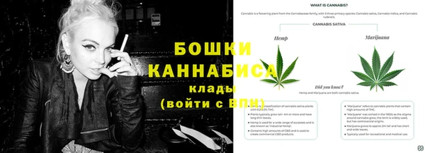 ПСИЛОЦИБИНОВЫЕ ГРИБЫ Армянск