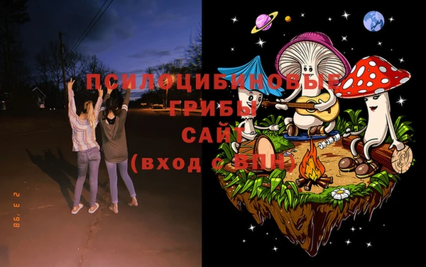 ПСИЛОЦИБИНОВЫЕ ГРИБЫ Армянск