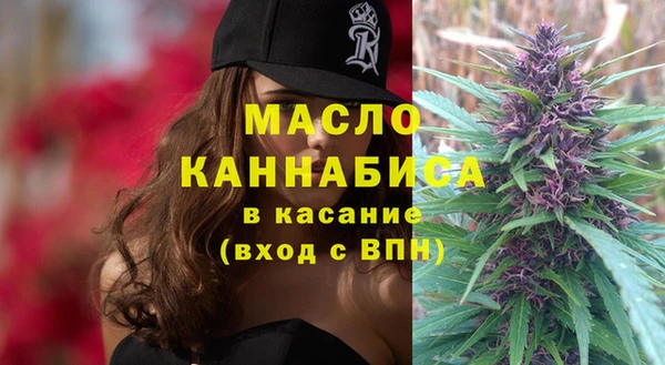 шишки Арсеньев