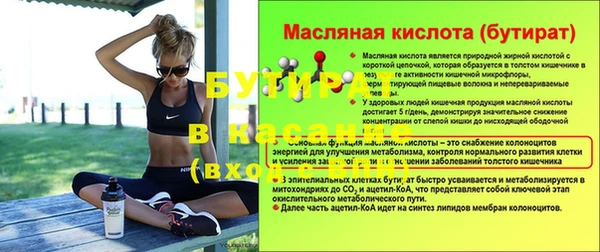 шишки Арсеньев