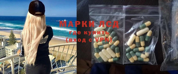 шишки Арсеньев