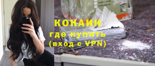 шишки Арсеньев