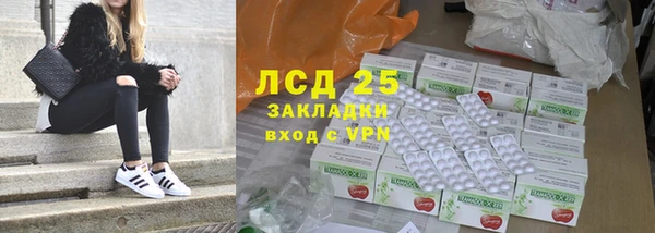 шишки Арсеньев