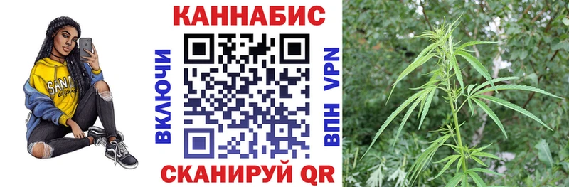 Каннабис план  Купить  Вольск 